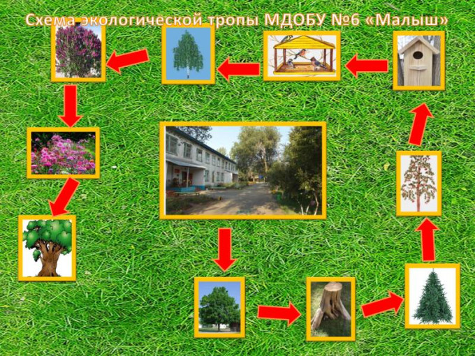 Экологическая тропа Экологическая тропа.